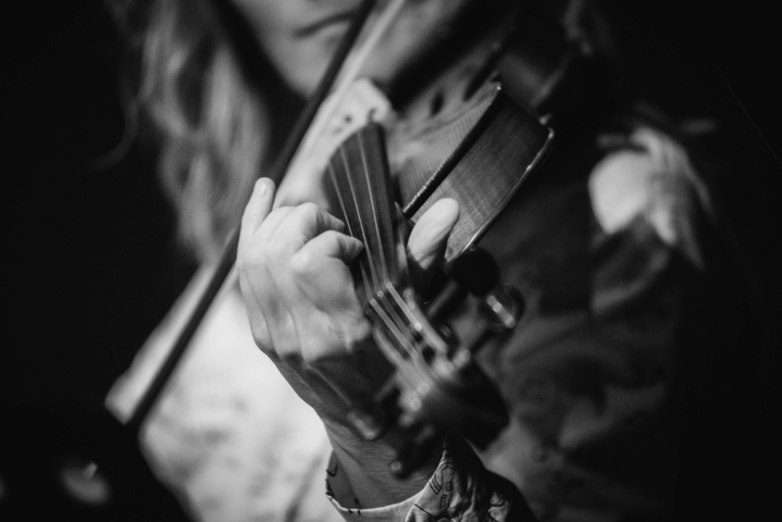 Violino